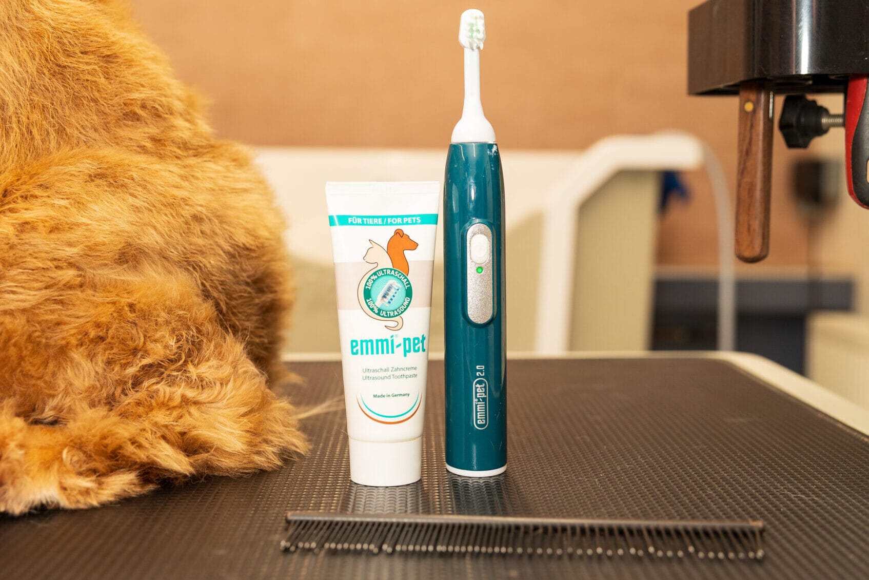 emmi pet ultrasonic teeth cleaning brush and head emmi pet ultrasonic teeth cleaning brush and head