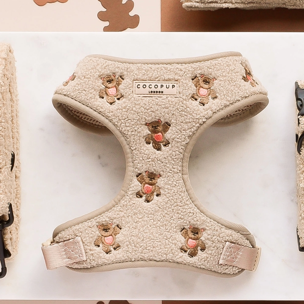 afffeaaececbfbcbdbbaedbeeabcd Teddy bear harness