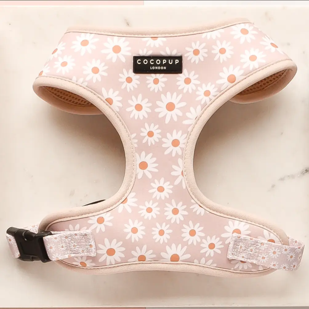 cocopup daisy harness () cocopup daisy harness ()
