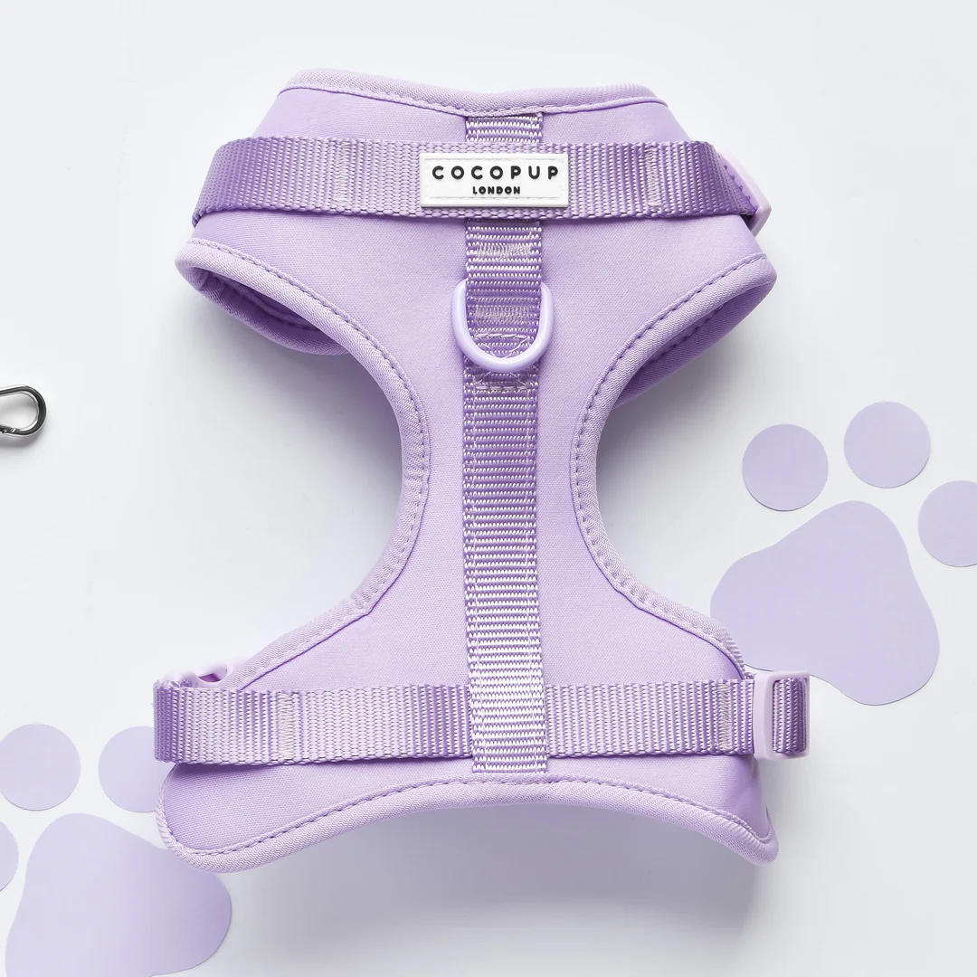 DSC naked harness purple